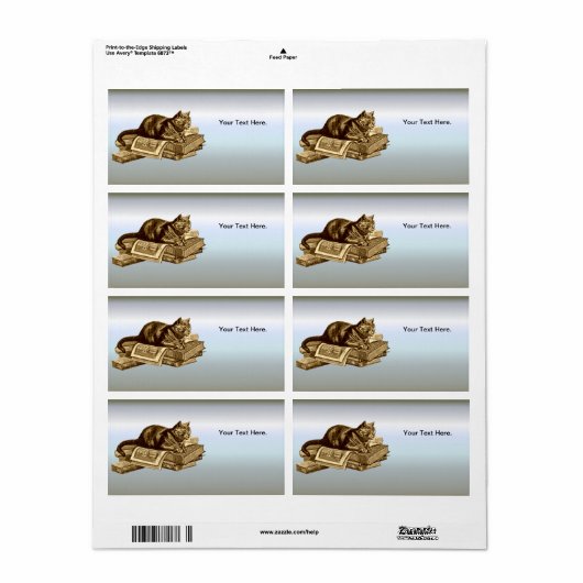 Bookworm Kitty Cat Reading Books (Vorne)