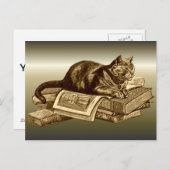 Bookworm Kitty Cat Reading Books Postkarte (Vorne/Hinten)