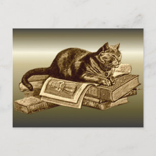 Bookworm Kitty Cat Reading Books Postkarte