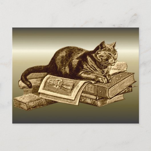 Bookworm Kitty Cat Reading Books Postkarte (Vorderseite)