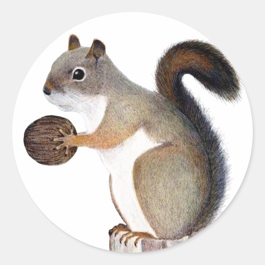 Boomer Squirrel Runder Aufkleber (Vorderseite)