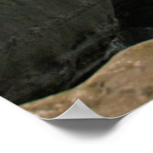 Boomer's to Children's Pool Poster ~ La Jolla (Ecke)