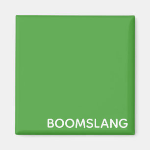 Boomslang green color name magnet