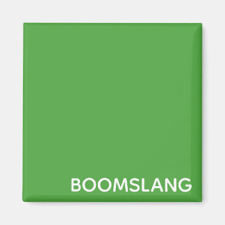 Boomslang grüne Farbe Magnet
