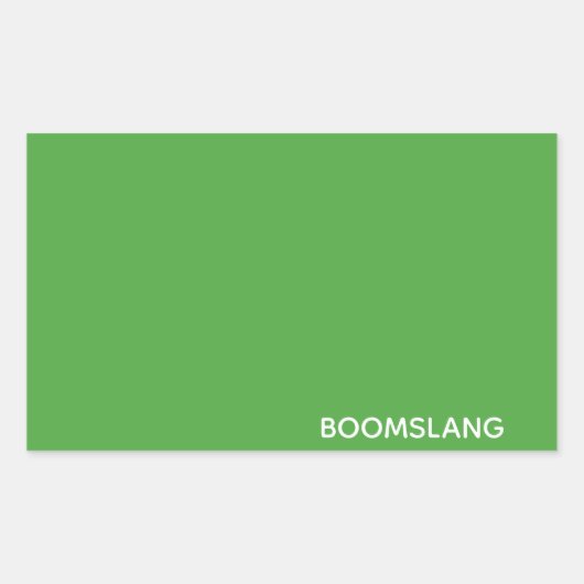 Boomslang grüne Farbe Rechteckiger Aufkleber (Vorderseite)