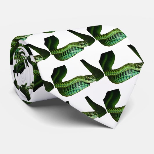 Boomslang Krawatte (Gerollt)
