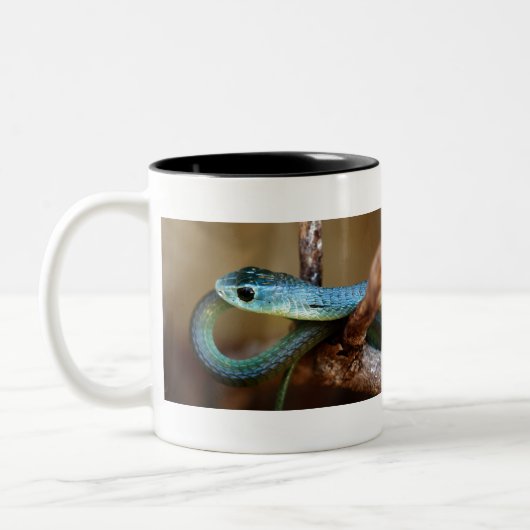 Boomslang Zweifarbige Tasse (Links)