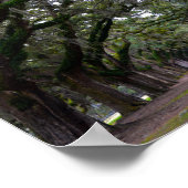 Boone Hall Avenue Oaks in South Carolina Poster (Ecke)