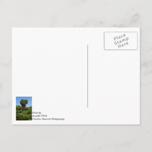 Boone Hall Garden Denken Sie an Sie Postcard Postkarte (Rückseite)