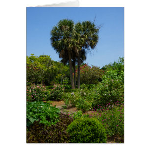 Boone Hall Garten