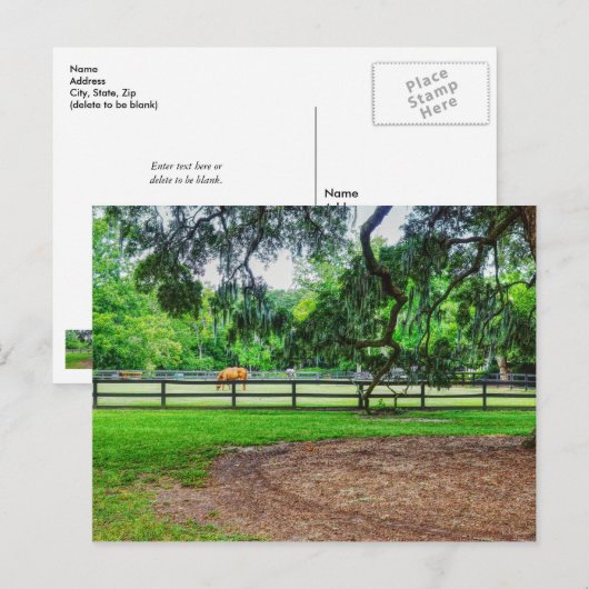 Boone Hall Stables Postcard Postkarte (Vorne/Hinten)