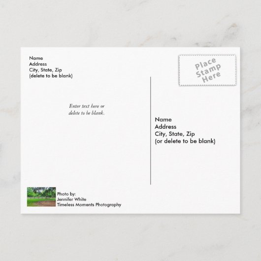 Boone Hall Stables Postcard Postkarte (Rückseite)