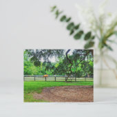 Boone Hall Stables Postcard Postkarte (Stehend Vorderseite)