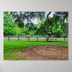Boone Hall Stables Poster