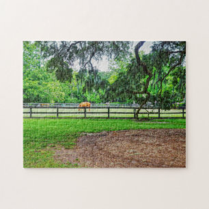 Boone Hall Stables Puzzle
