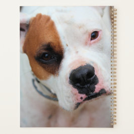 Boop 3 Ring Binder Planer