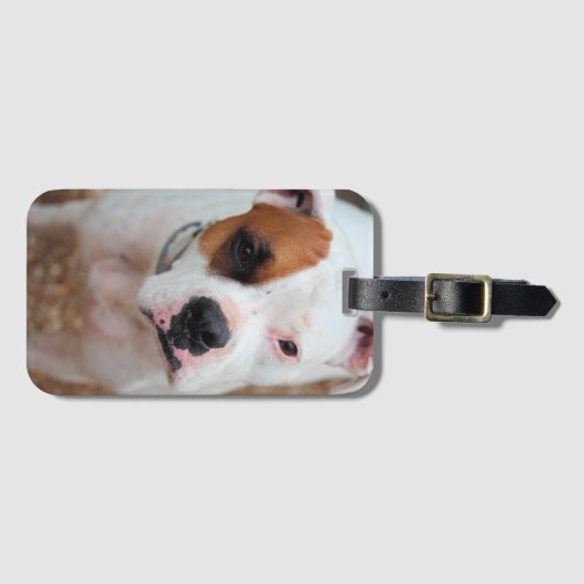 Boop Gepäckanhänger (Vorderseite (Horizontal))