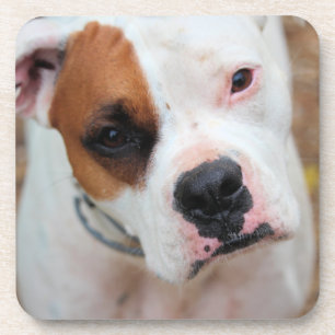 Boop Getränkeuntersetzer