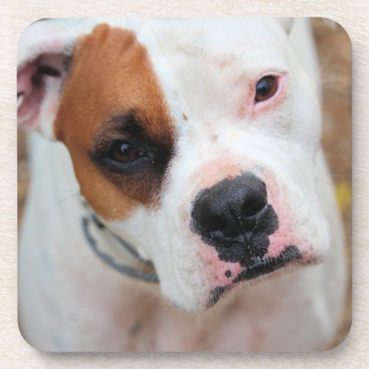 Boop Getränkeuntersetzer (Vorderseite)