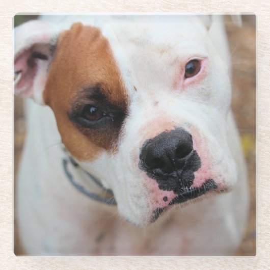 Boop Glasuntersetzer (Vorderseite)