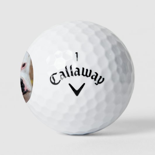 Boop[ Golf Ball Marker Golf Hat Clip (Logo)