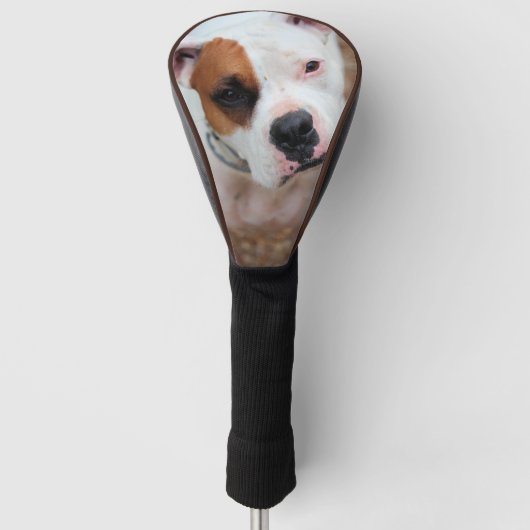Boop Golf Head Cover Headcover (Vorderseite)