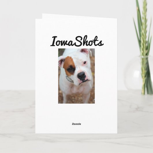 Boop Karte (Rückseite)