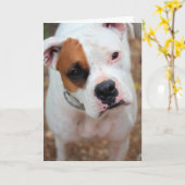 Boop Karte (Gelbe Blume)