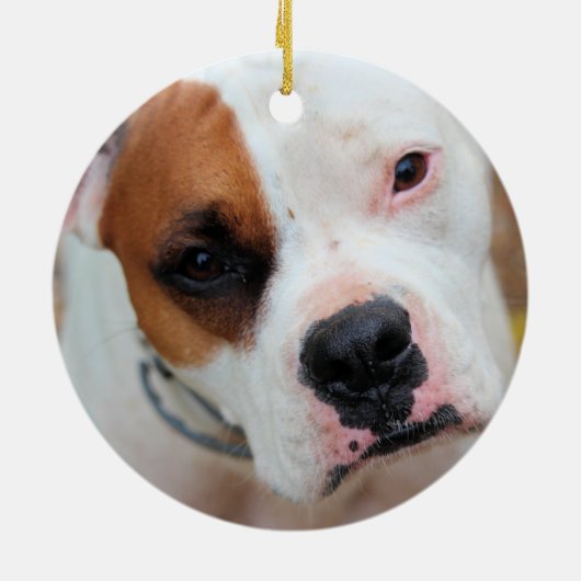 Boop Keramik Ornament (Hinten)