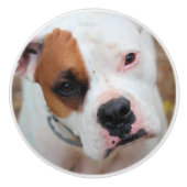 Boop Keramikknauf (Vorderseite)