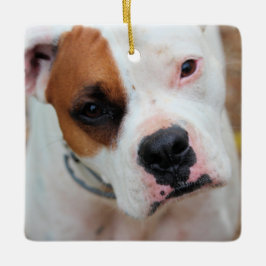 Boop Keramikornament