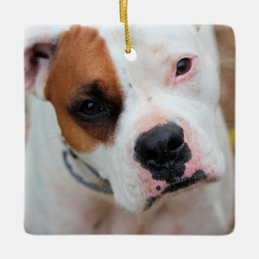 Boop Keramikornament (Vorderseite)