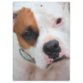 Boop Klemmbrett (Rückseite)