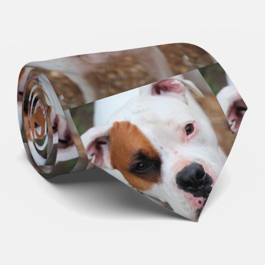 Boop Krawatte (Gerollt)