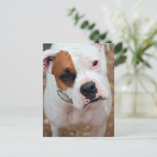 Boop Postkarte (Stehend Vorderseite)