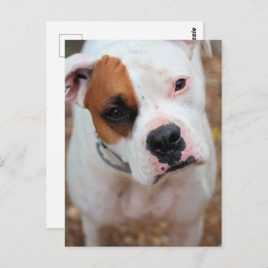 Boop Postkarte (Vorne/Hinten)