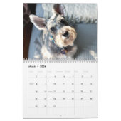 Boop! Super Owen der Schnauzer 2021 Kalender (Mär 2026)