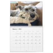 Boop! Super Owen der Schnauzer 2021 Kalender (Feb 2026)