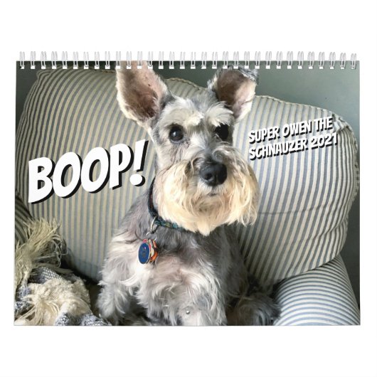 Boop! Super Owen der Schnauzer 2021 Kalender (Titelbild)