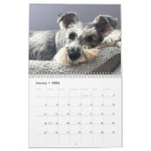 Boop! Super Owen der Schnauzer 2021 Kalender (Jan 2026)