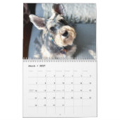 Boop! Super Owen der Schnauzer 2021 Kalender (Mär 2027)