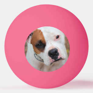 Boop Tischtennisball