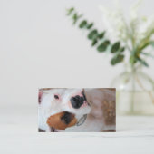 Boop Visitenkarte (Stehend Vorderseite)