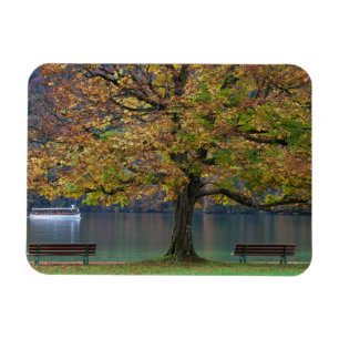 Boot auf einem See im Herbst, Deutschland Magnet
