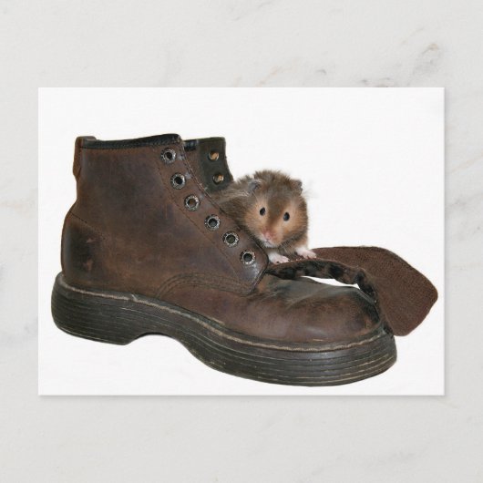 Boot-Tier Postkarte (Vorderseite)