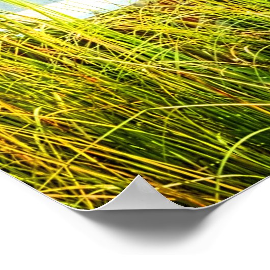 Boote am Dock Poster (Ecke)