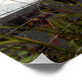 Boote auf Bermuda Poster (Ecke)