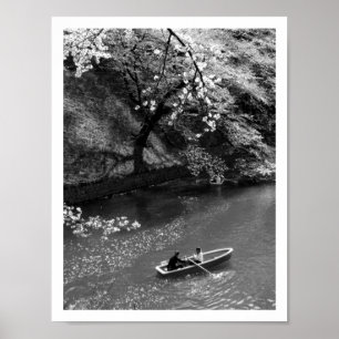 Boote auf Chidorigafuchi: Tokio, Japan Poster