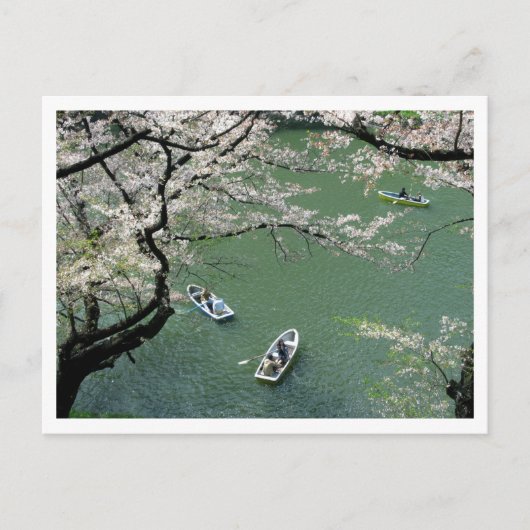 Boote auf Chidorigafuchi: Tokio, Japan Postkarte (Vorderseite)