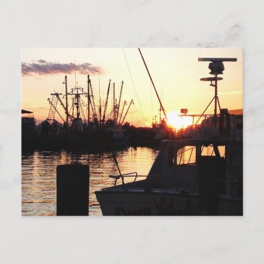 Boote bei Sonnenuntergang Postkarte (Vorderseite)